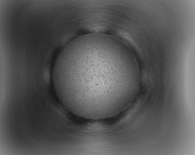 X0000089860259200707121741