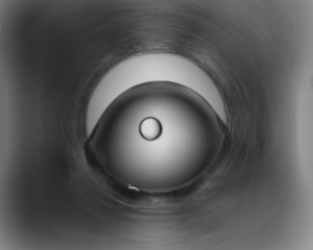 X0000089860260200707121741