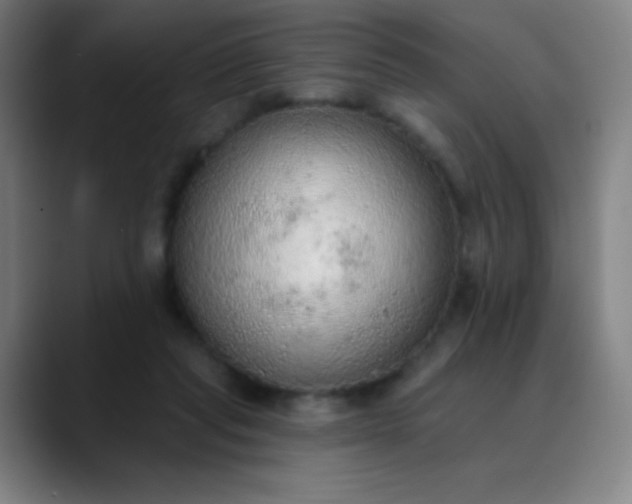 X0000089860261200707121741