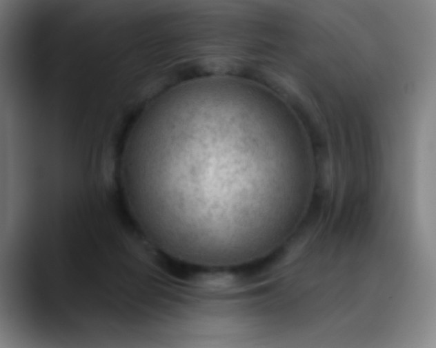 X0000089860266200707121741