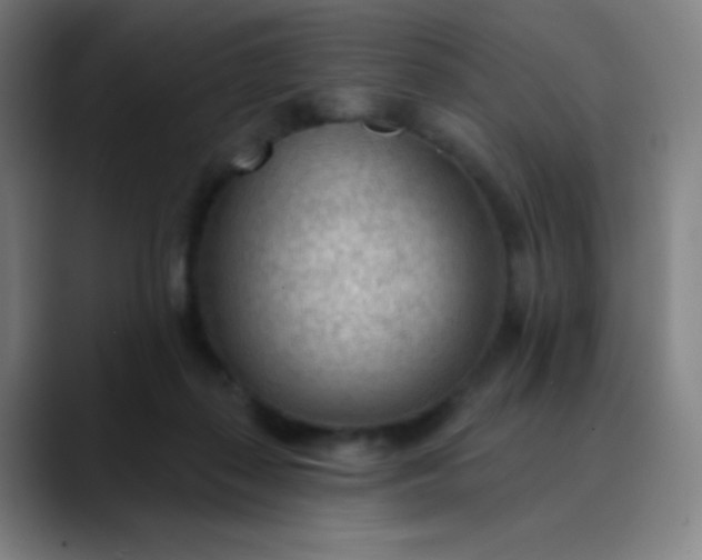 X0000089860267200707121741