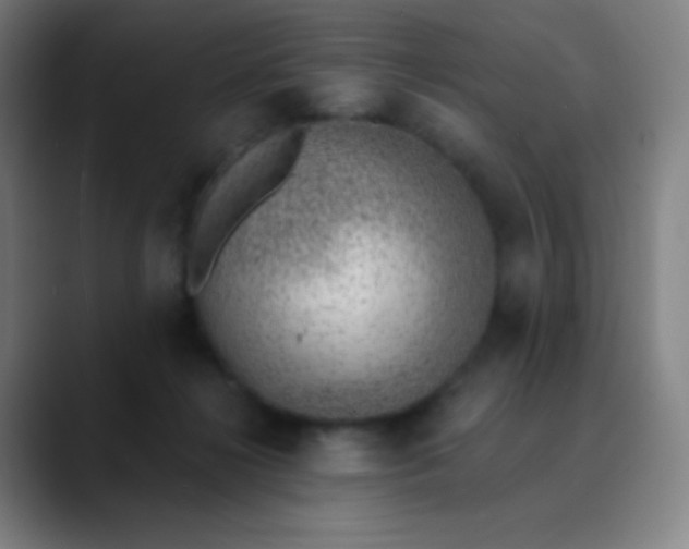 X0000089860268200707121741