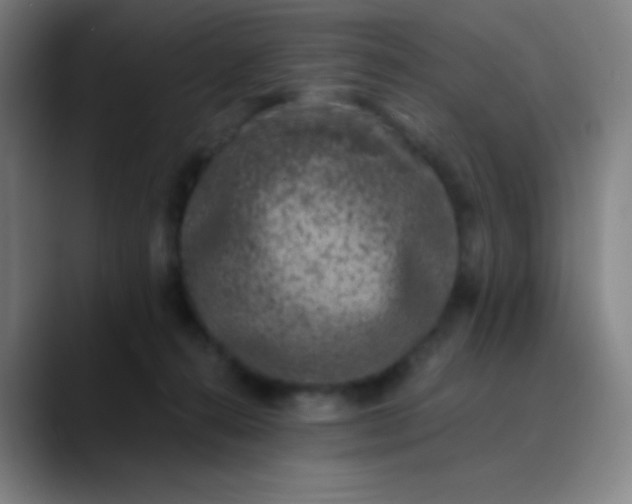 X0000089860272200707121742