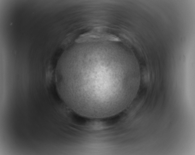 X0000089860276200707121742