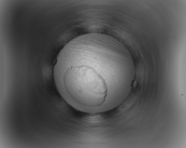 X0000089860278200707121742