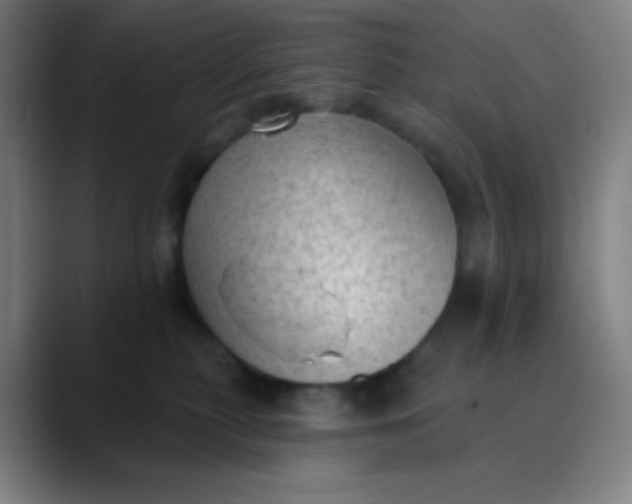 X0000089860279200707121742