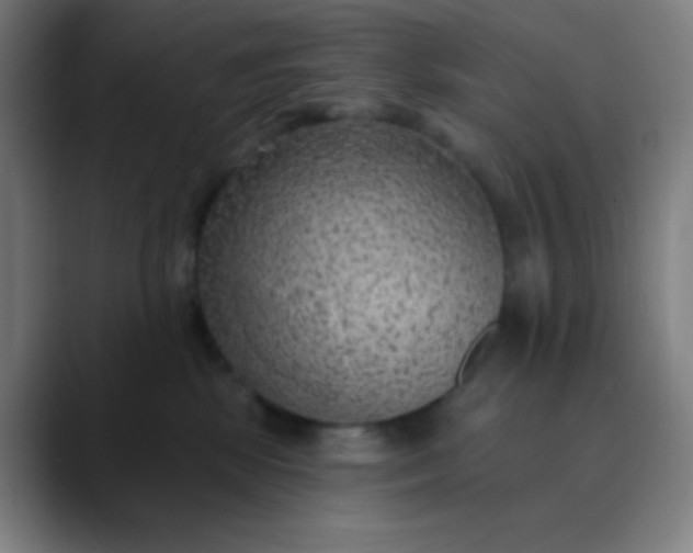 X0000089860281200707121742