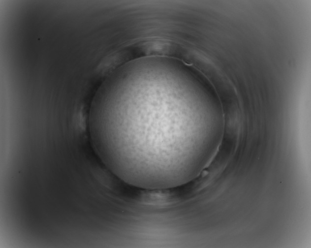 X0000089860282200707121742