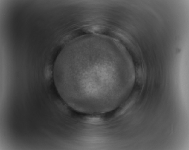 X0000089860284200707121742