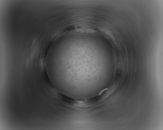 X0000089860285200707121742