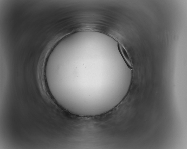 X0000089860289200707121741