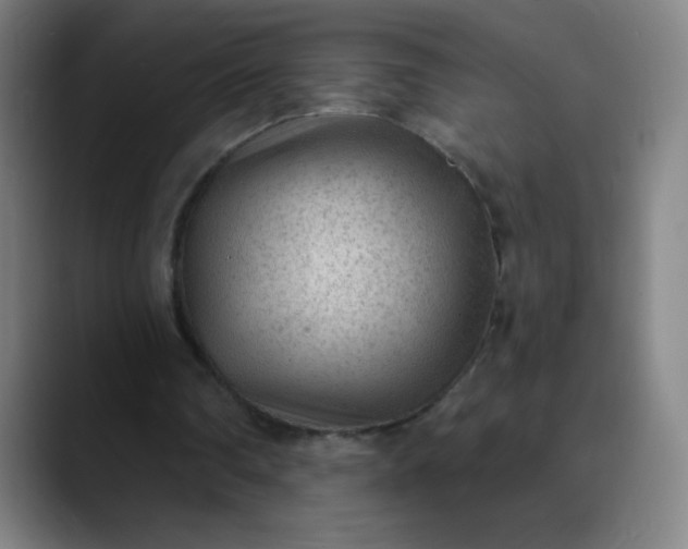 X0000089860290200707121741