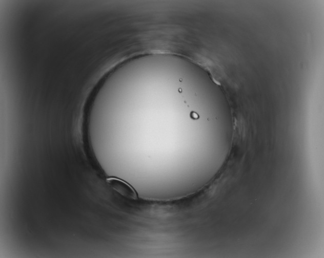 X0000089860292200707121741