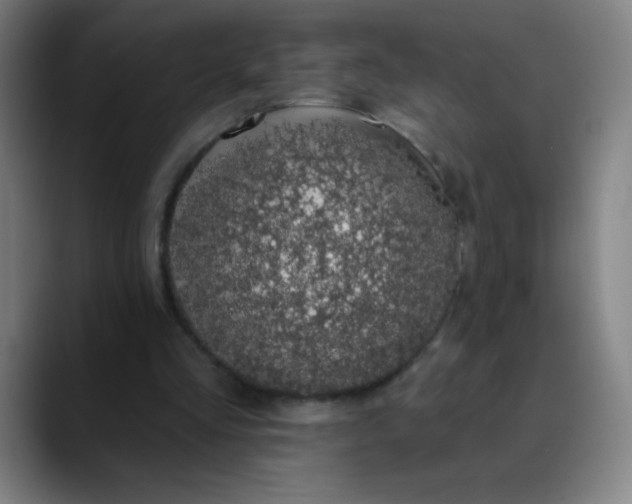 X0000089860293200707121741