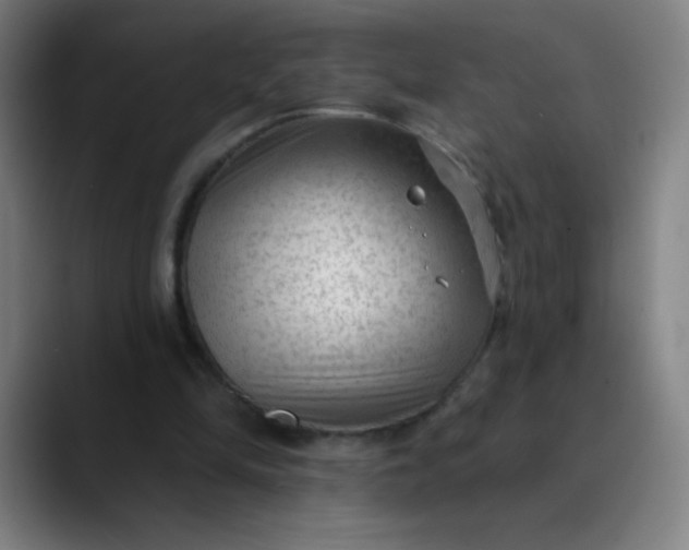 X0000089860294200707121741