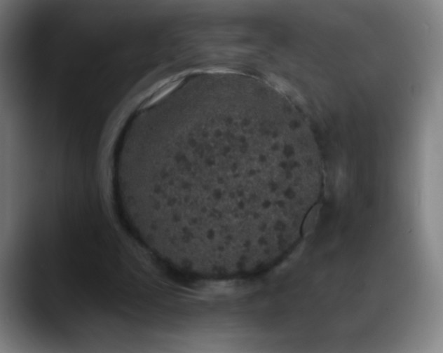 X0000089860295200707121741