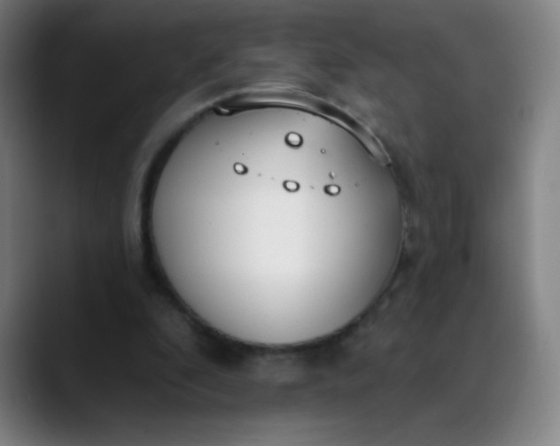 X0000089860296200707121741