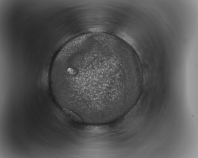 X0000089860297200707121741