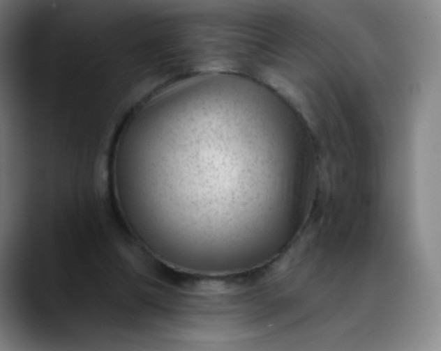 X0000089860298200707121741