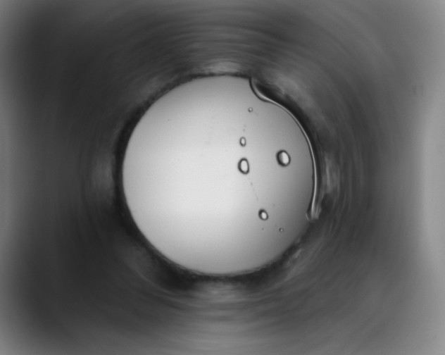 X0000089860300200707121741