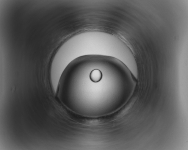 X0000089860301200707121741