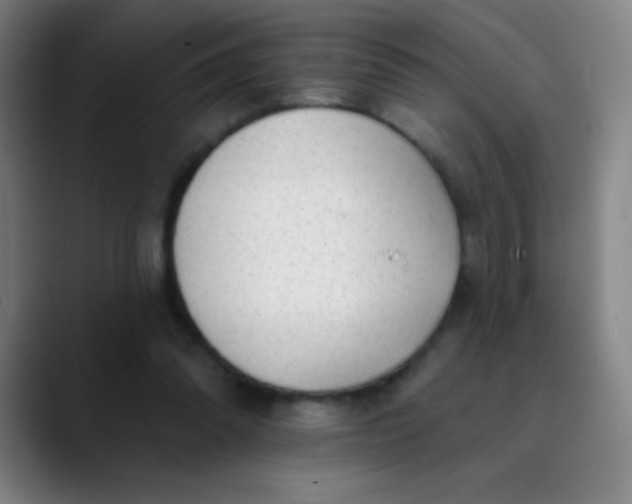 X0000089860302200707121741