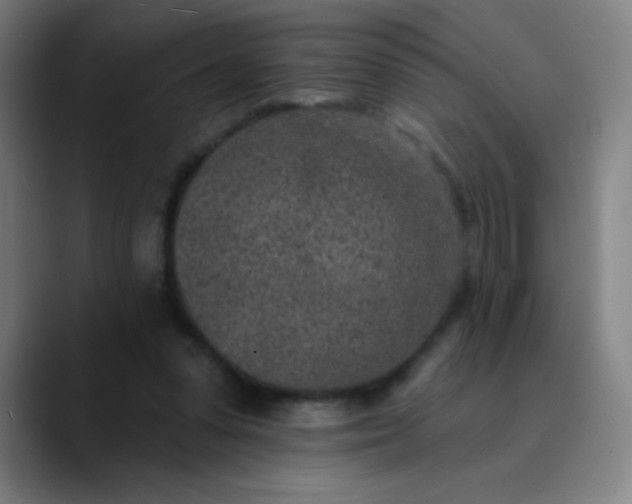 X0000089860303200707121741