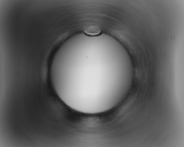 X0000089860304200707121741