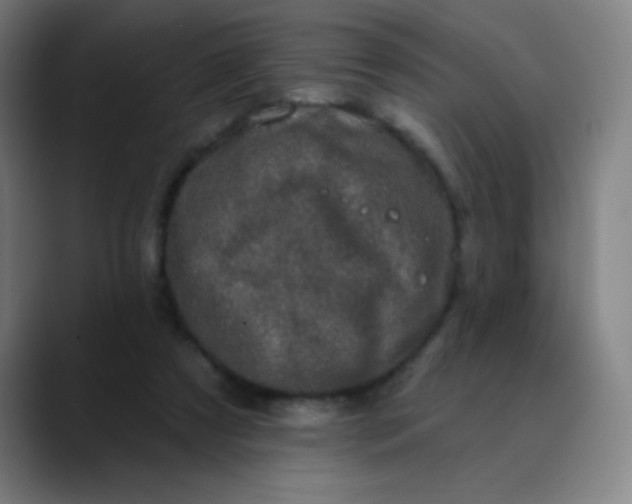 X0000089860305200707121741