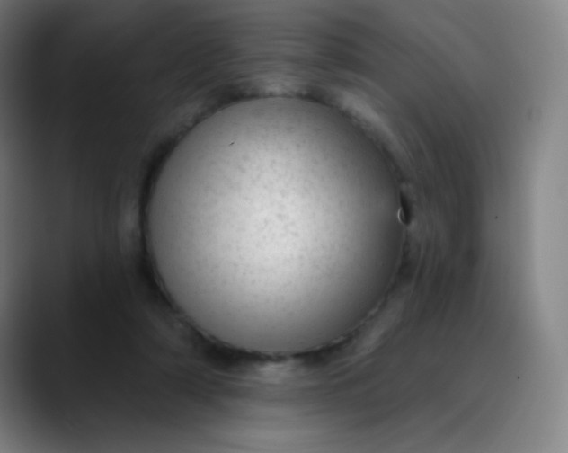 X0000089860306200707121741