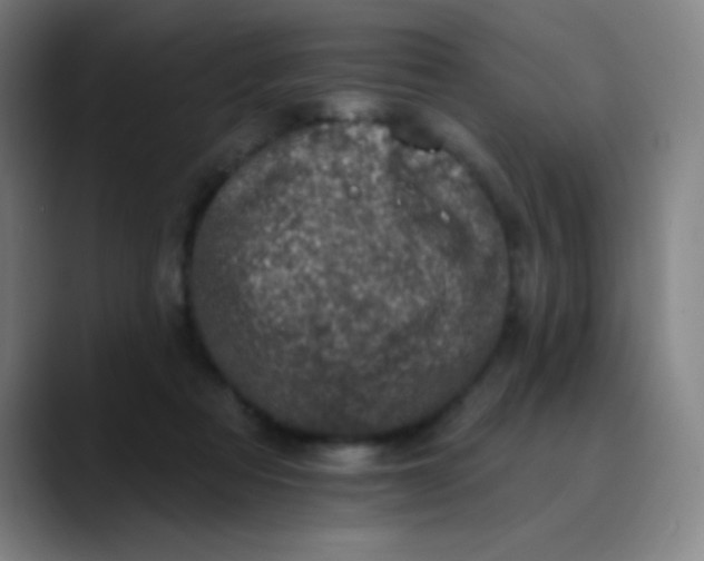 X0000089860313200707121741