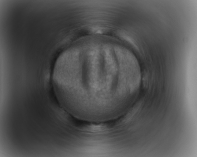 X0000089860314200707121741