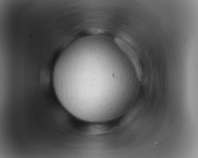 X0000089860315200707121741