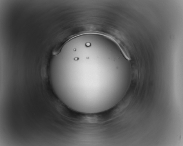 X0000089860317200707121741