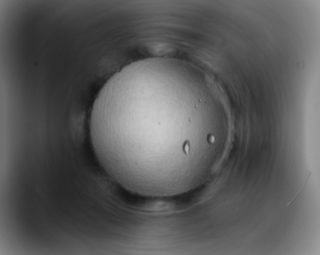 X0000089860319200707121741