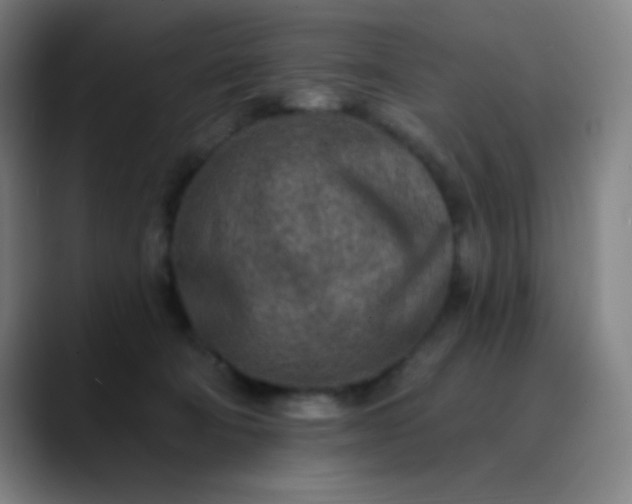 X0000089860322200707121741