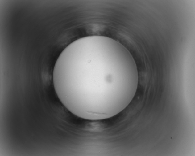 X0000089860324200707121741