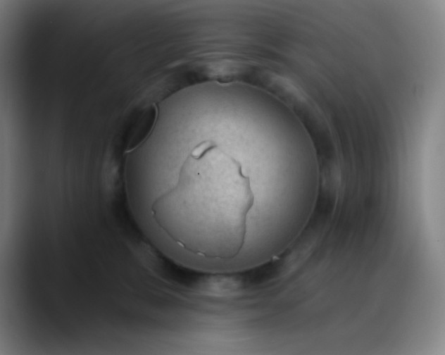 X0000089860327200707121741