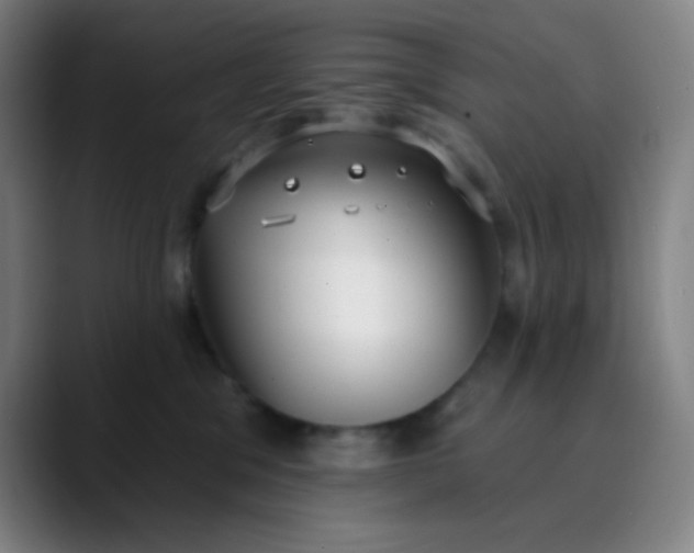 X0000089860329200707121741