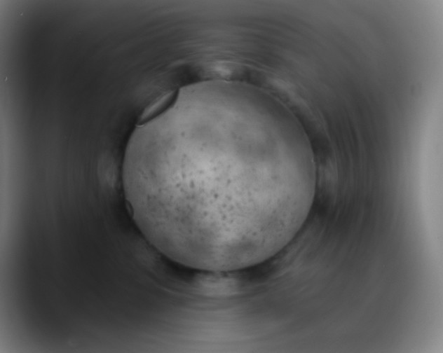 X0000089860331200707121741