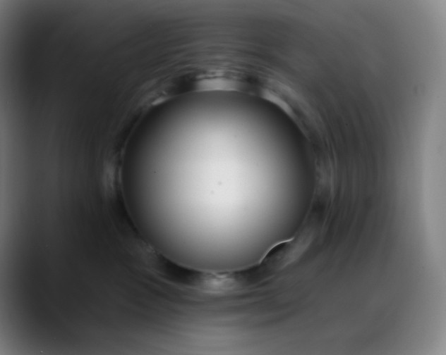 X0000089860333200707121741