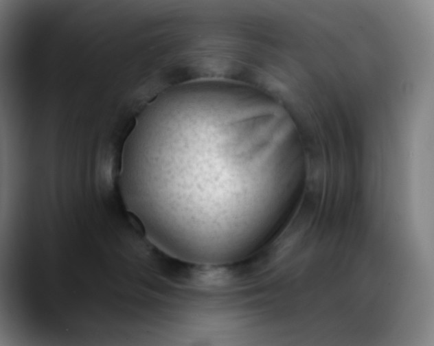 X0000089860334200707121741