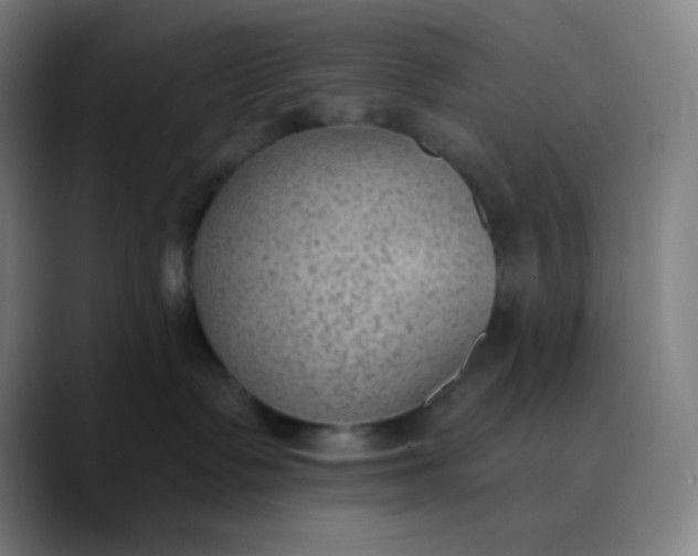 X0000089860335200707121741