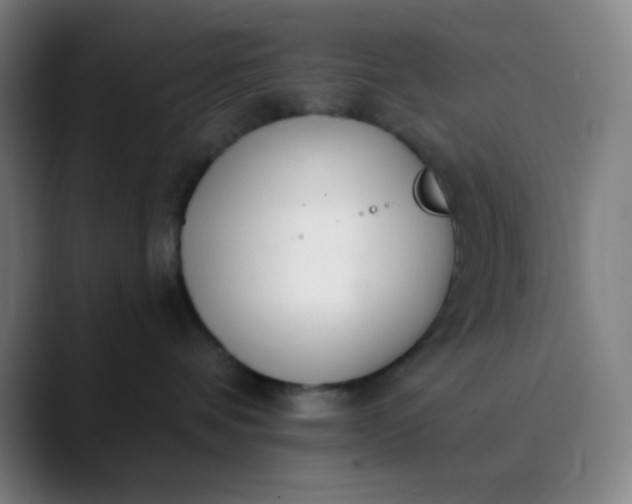 X0000089860336200707121741