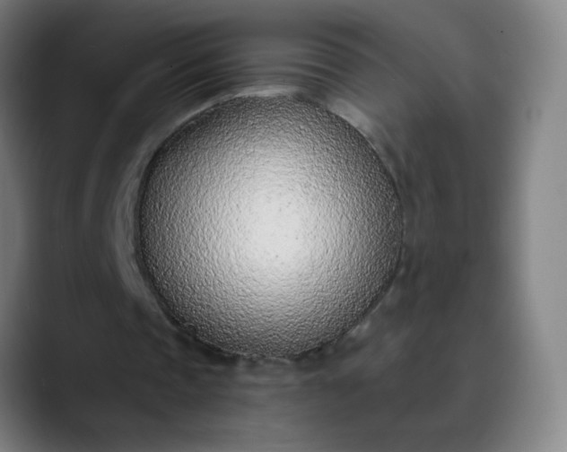 X0000089860337200707121740