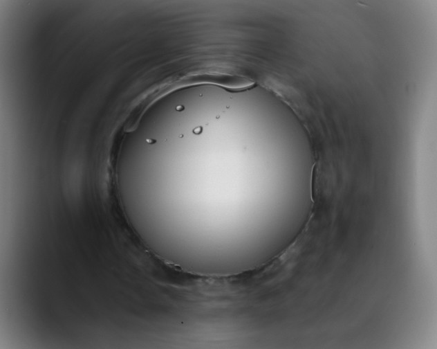 X0000089860338200707121740