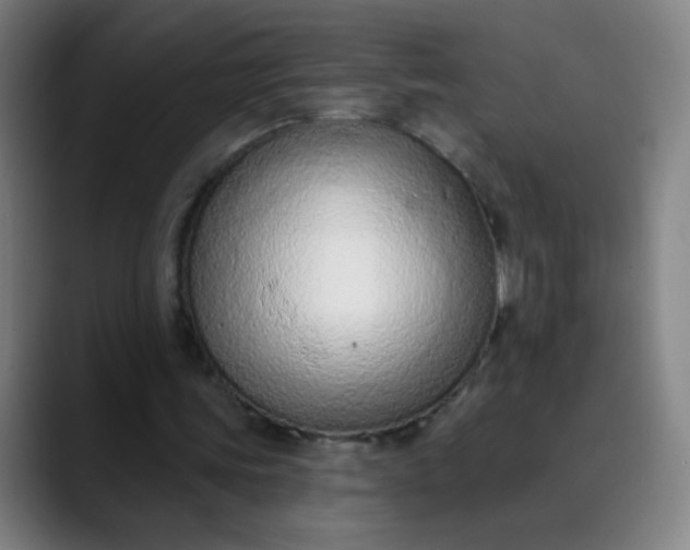 X0000089860339200707121740