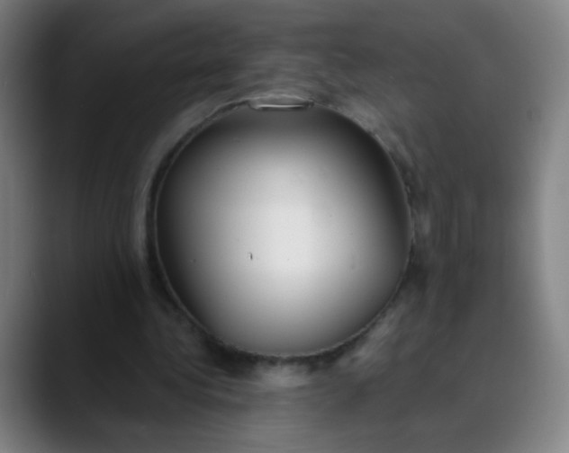 X0000089860340200707121740