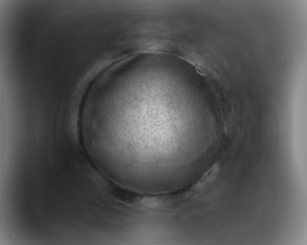 X0000089860341200707121740