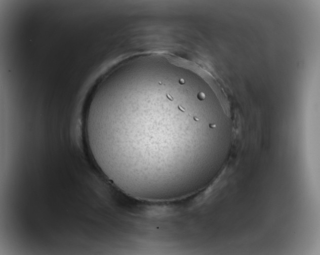 X0000089860342200707121740